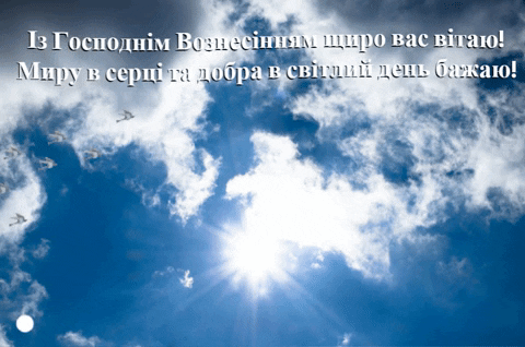karinazuieva giphygifmaker giphyattribution GIF