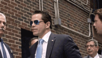 red carpet walking GIF