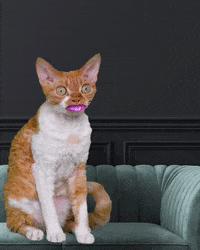 I Love You Kiss GIF