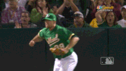 treinen GIF by MLB