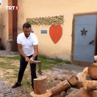Wood Smash GIF by TRT