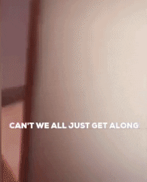 teamofmonkeys giphyupload cat toilet bathroom GIF