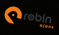 robinajans design social media creative branding GIF