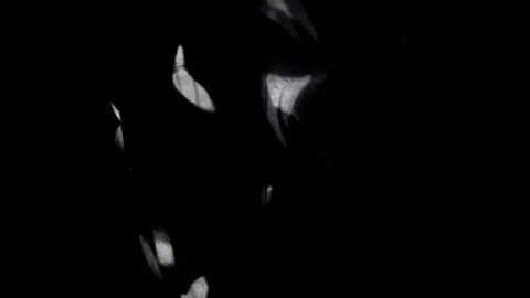 Horse Power GIF by The Chemical Brothers