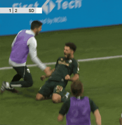 Happy Portland Timbers GIF by Major League Soccer