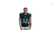 Fly Eagles Fly Dance Sticker by Philadelphia Eagles