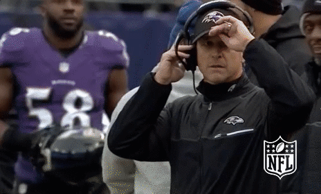 Baltimore Ravens Football GIF by NFL
