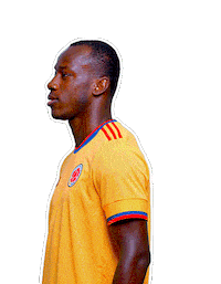 Copa America Football Sticker by Caracol Television