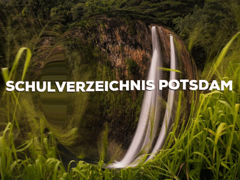 Happy Laugh GIF by PrivatschulenPORTAL.de