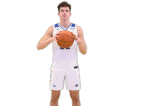 Basketball Shrug Sticker by Delaware Blue Hens