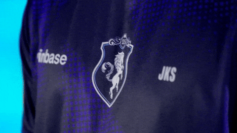 Logo Esports GIF by BLAST