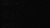 Jartible GIF by Cruzcampo