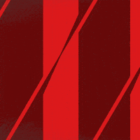 Sport Duesseldorf GIF by Fortuna Düsseldorf