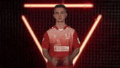 Ssv Jahn Regensburg Vbl GIF by Bundesliga