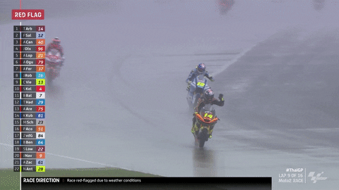 Red Flag No GIF by MotoGP