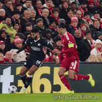 Virgil Van Dijk GIF