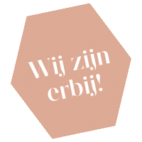dewinterfair christmas snow winter festival Sticker