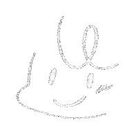 白 Smile Sticker
