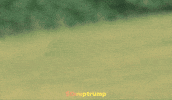 Usa Ai GIF by Deep Trump