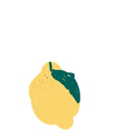 Birthday Lemon Sticker by asmawm