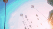 Midsummer Madness 88Rising GIF by Joji