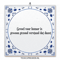Humor Nl GIF by Tegelspreuken.nl