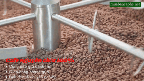 cph19ab giphyupload GIF