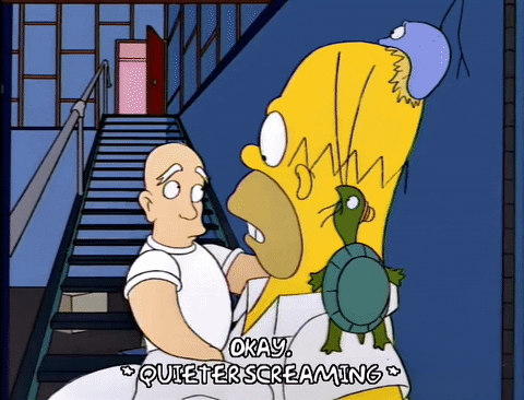 homer simpson GIF