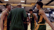Irish GIF by Knoxville Catholic Basketball