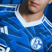 Football Soccer GIF by FC Schalke 04