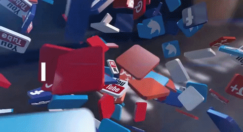 Shiba Bets GIF by SHIBABETS.GG