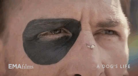 hot docs dog GIF by EMAfilms