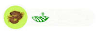 Axion Sticker by AgroActiva