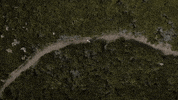 Beach Running GIF by nettwerkmusic
