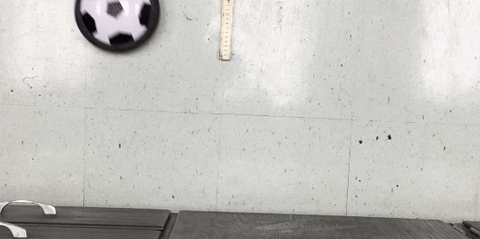 white GIF