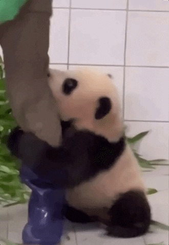 Come Back Hug GIF by NowThis