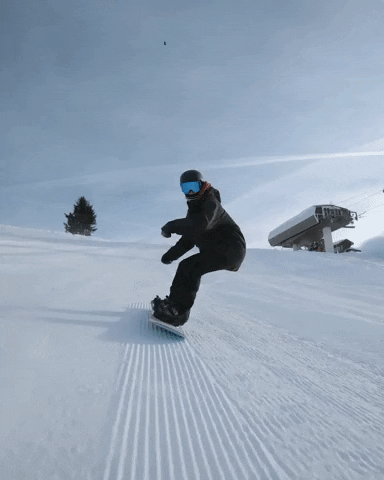 NideckerSnowboards giphygifmaker snow ski snowboard GIF