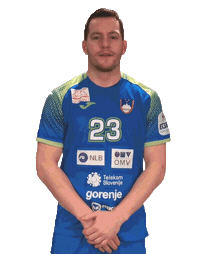 Handball Euro Sticker by Rokometna zveza
