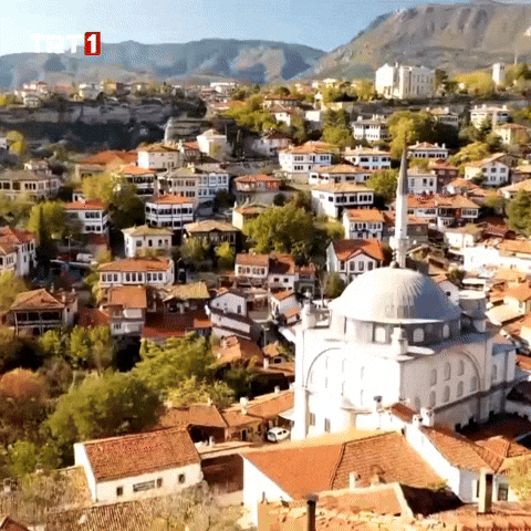 Forest Town GIF by TRT