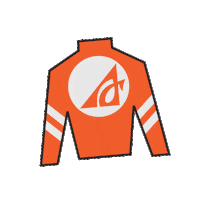Sport Silk Sticker by Kentucky Derby