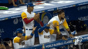 dugout celebrates GIF by MLB