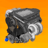 Honda Racing GIF by kneapolitan