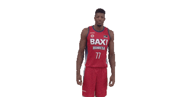 Liga Endesa Yes Sticker by ACB