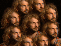 Wink Shrugging GIF by GIPHY IRL