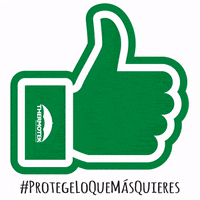 Thk GIF by Grupo Thermotek
