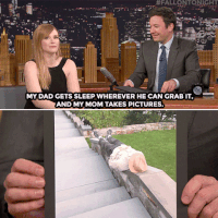 jimmy fallon sleeping GIF by The Tonight Show Starring Jimmy Fallon