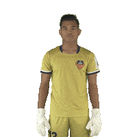Fc Goa Sticker by Indian Super League