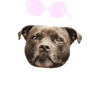Happy Social Media Sticker by Ehrenstrahle