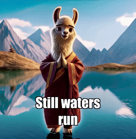 Mountain Wisdom GIF by dalaillamazen