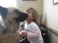 kisses doggie GIF